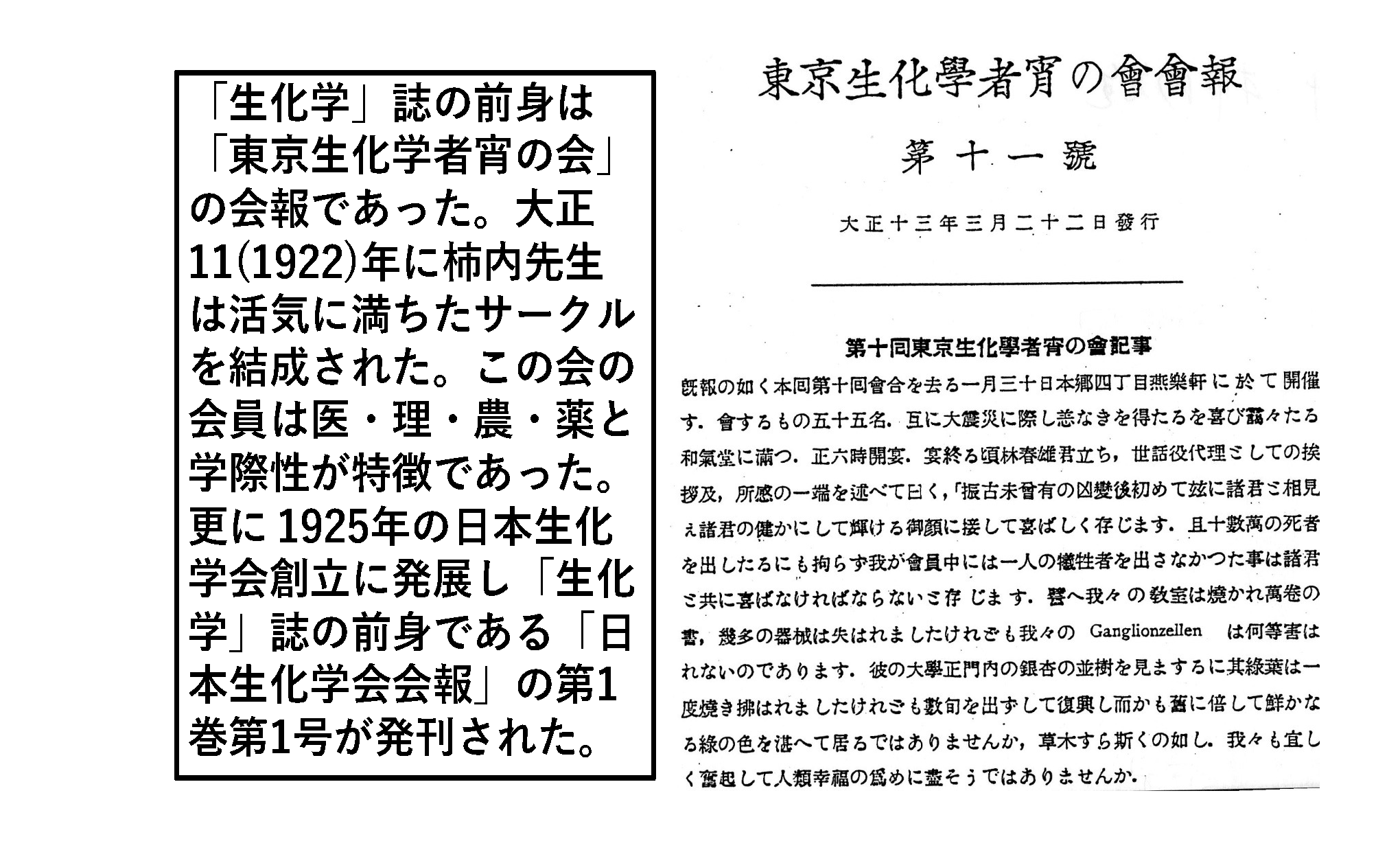 【値下げ】千島革新の生命・医学全集 第8巻 著者研究第1期、第2期、第3期3編 特別寄稿：「生化学」誌創始者柿内教授から継承した本誌の活用と生体